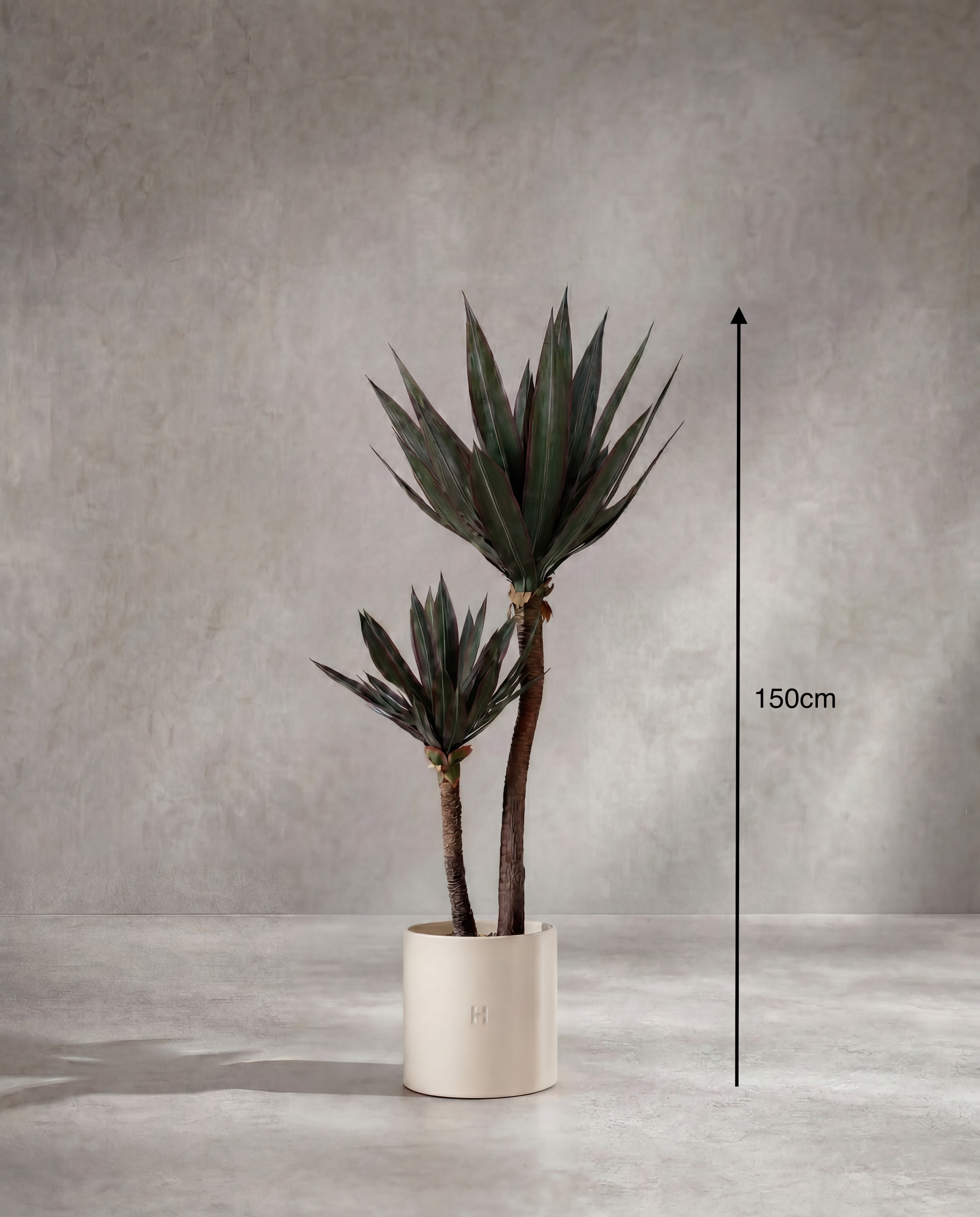 Dimensions et hauteur du Agave artificiel