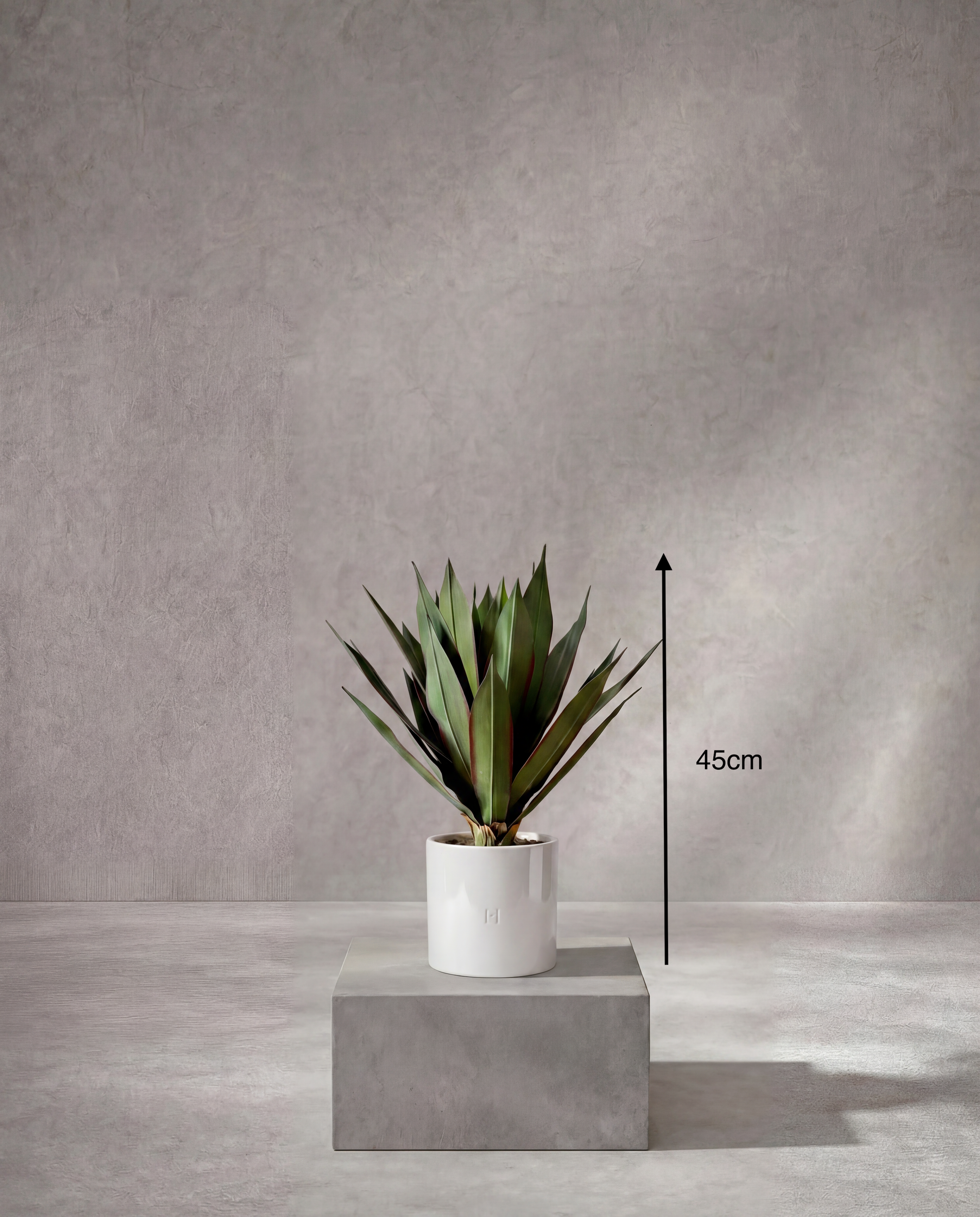 Dimensions et hauteur du Agave artificiel