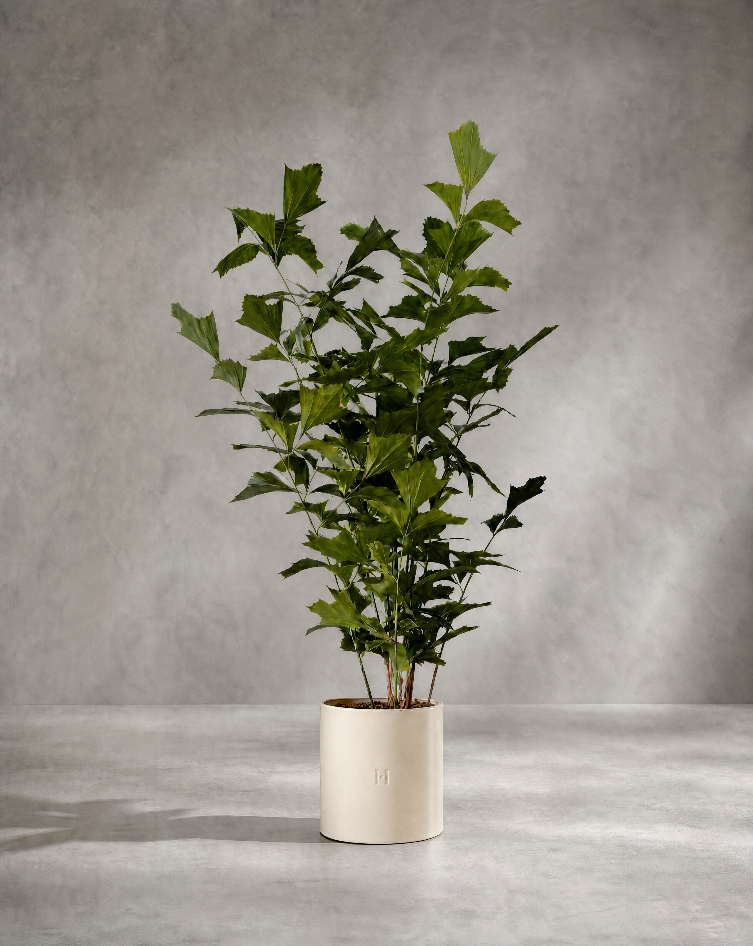 Caryota artificiel Hoper – vue principale du produit