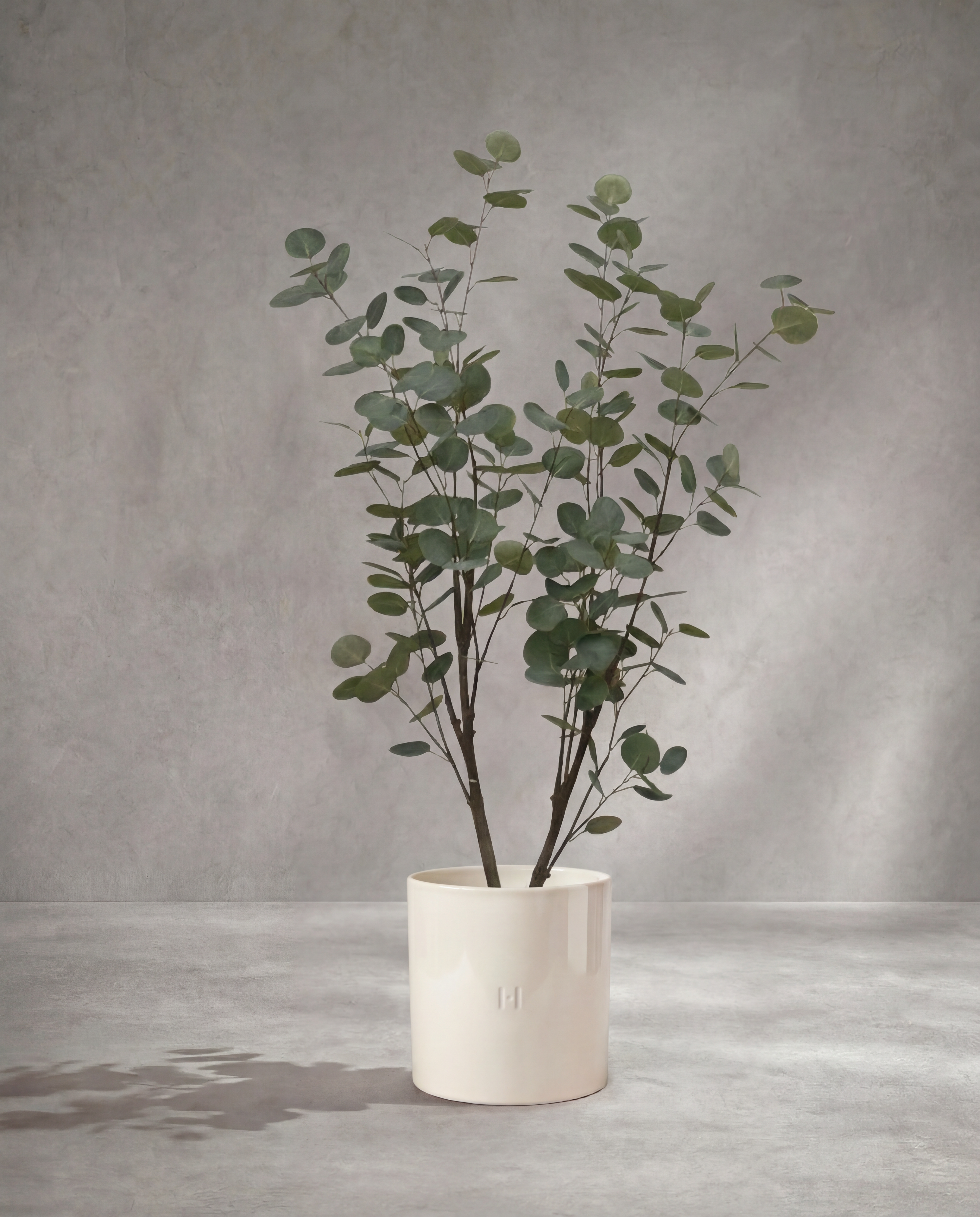 Eucalyptus artificiel Hoper – vue 4