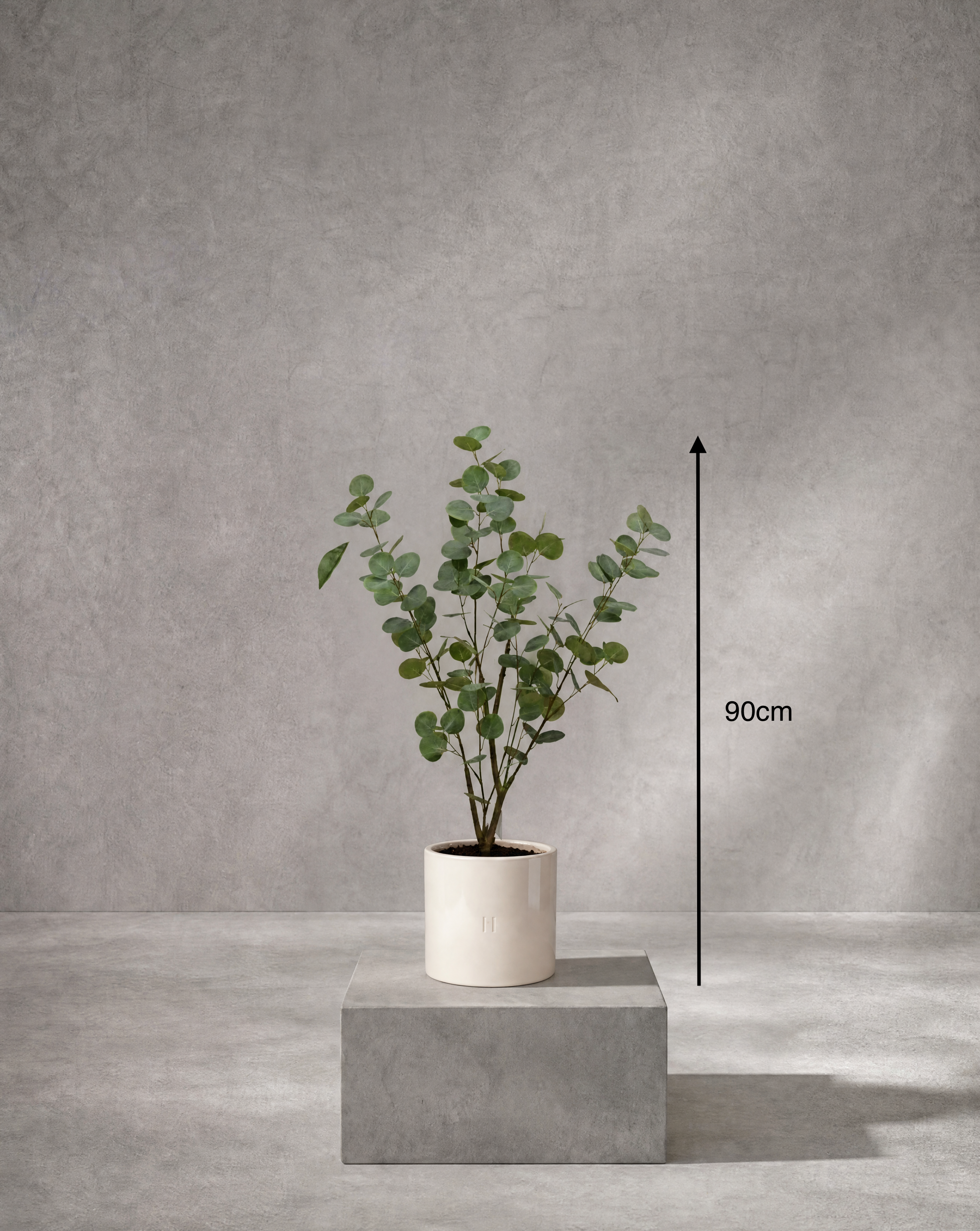 Dimensions et hauteur du Eucalyptus artificiel