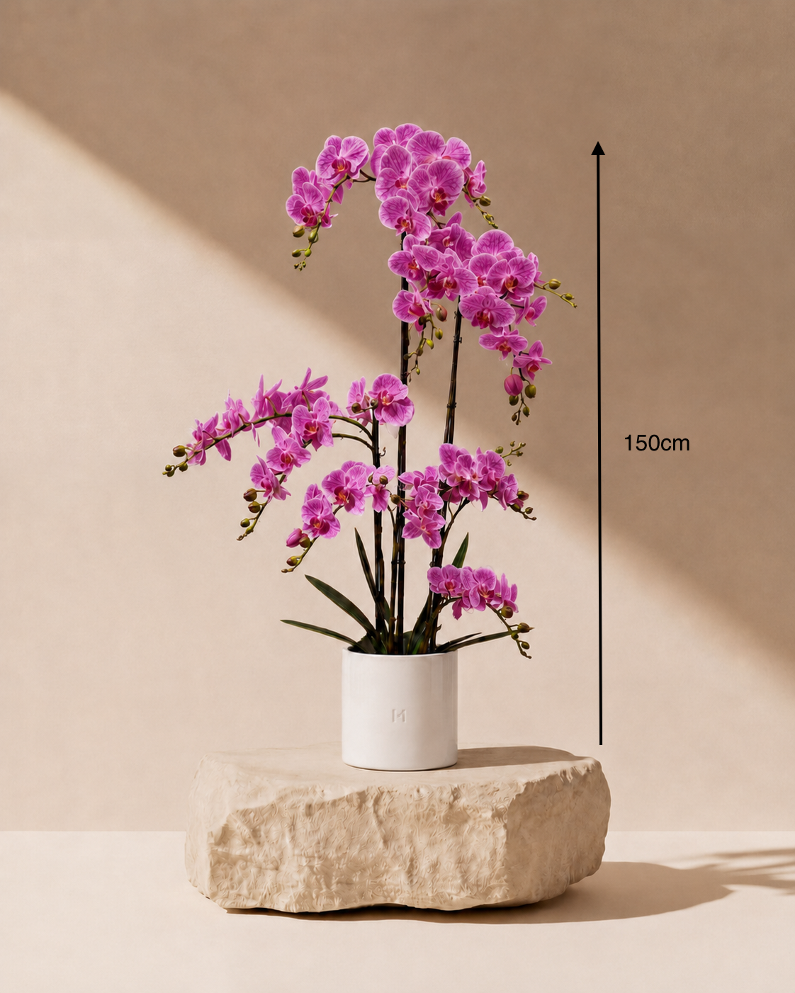 ORCHID F•532P