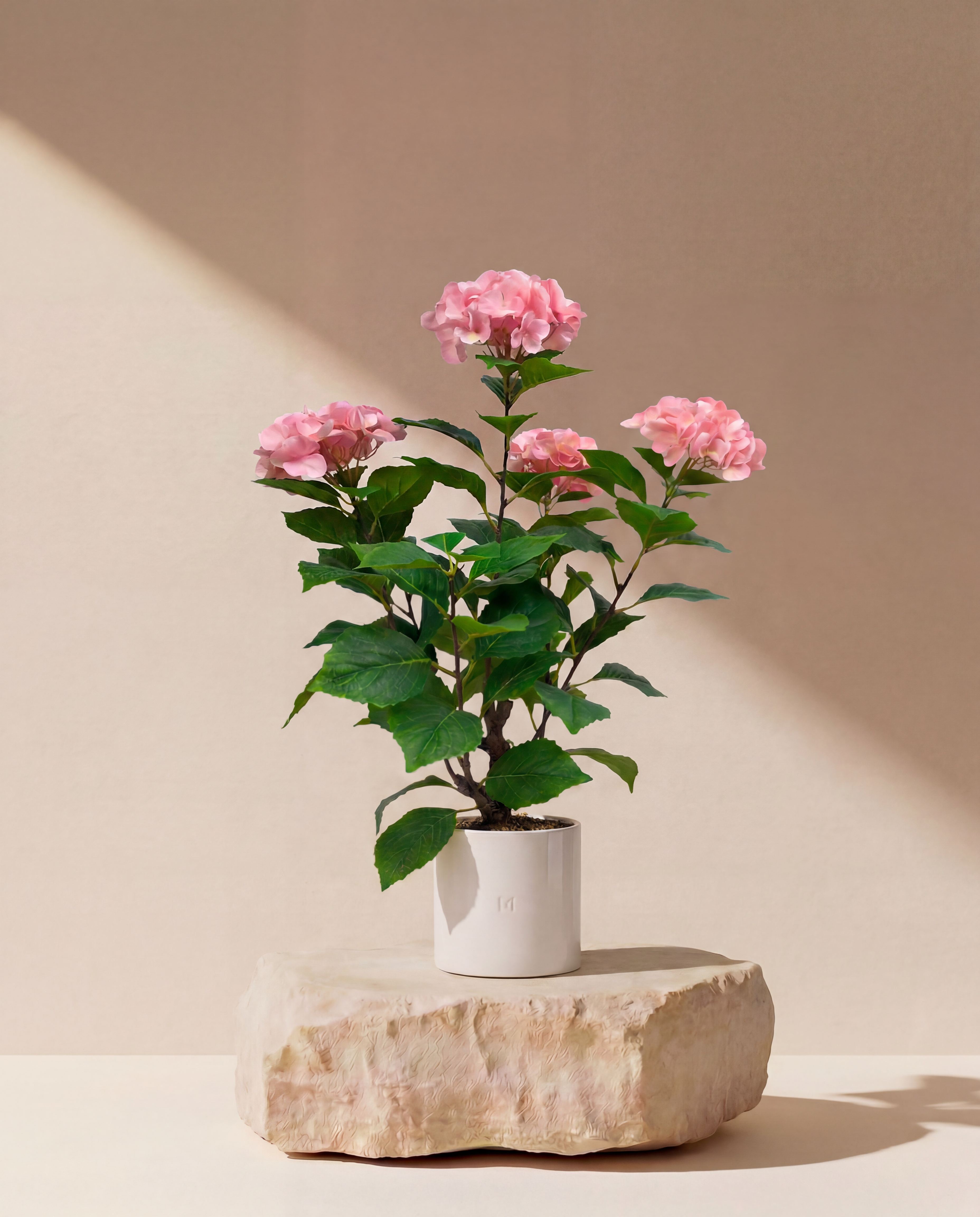 HORTENSIA F•854P