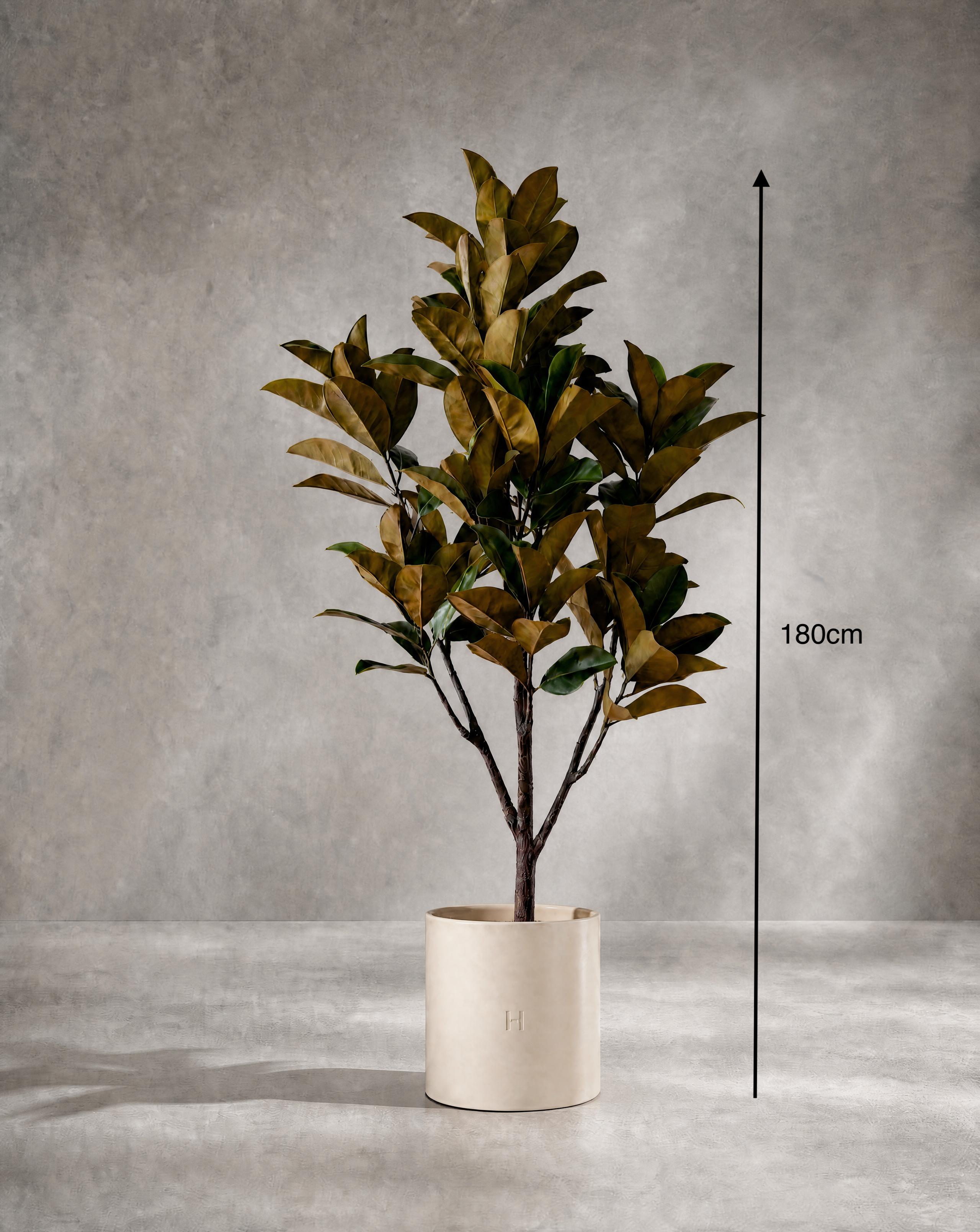 Dimensions et hauteur du Magnolia artificiel