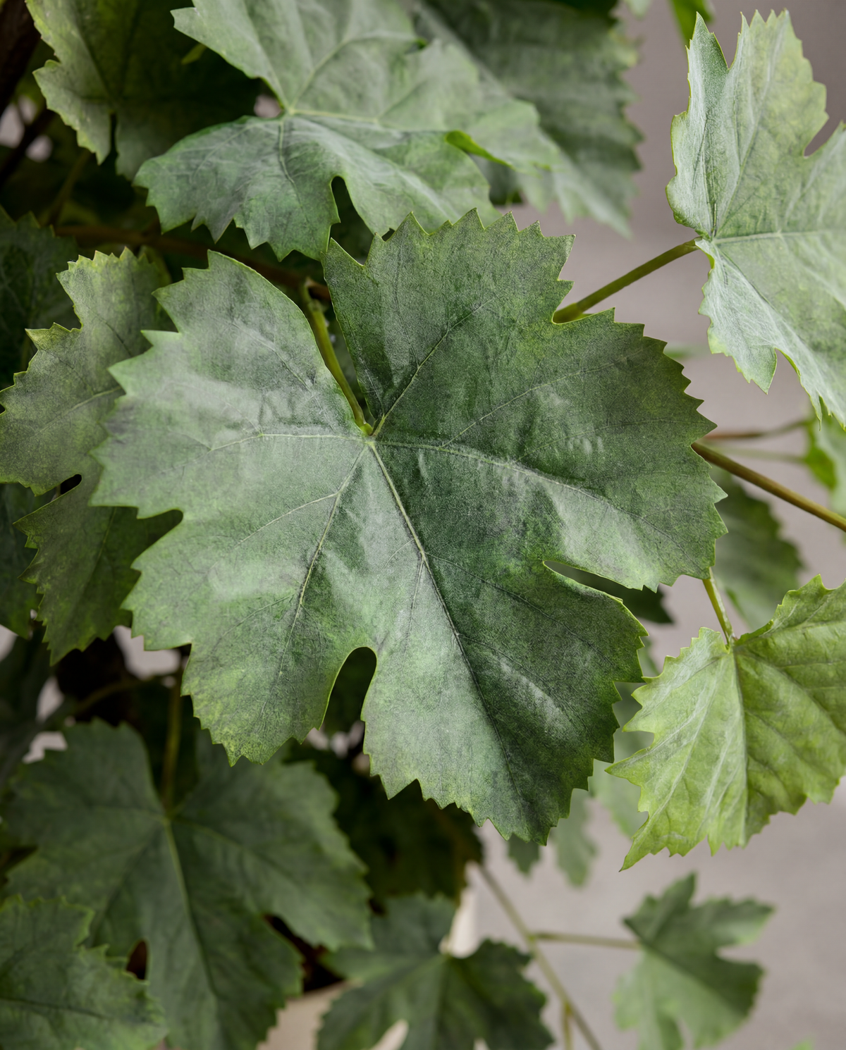 Gros plan sur le feuillage real touch du Vigne #Taille_110cm