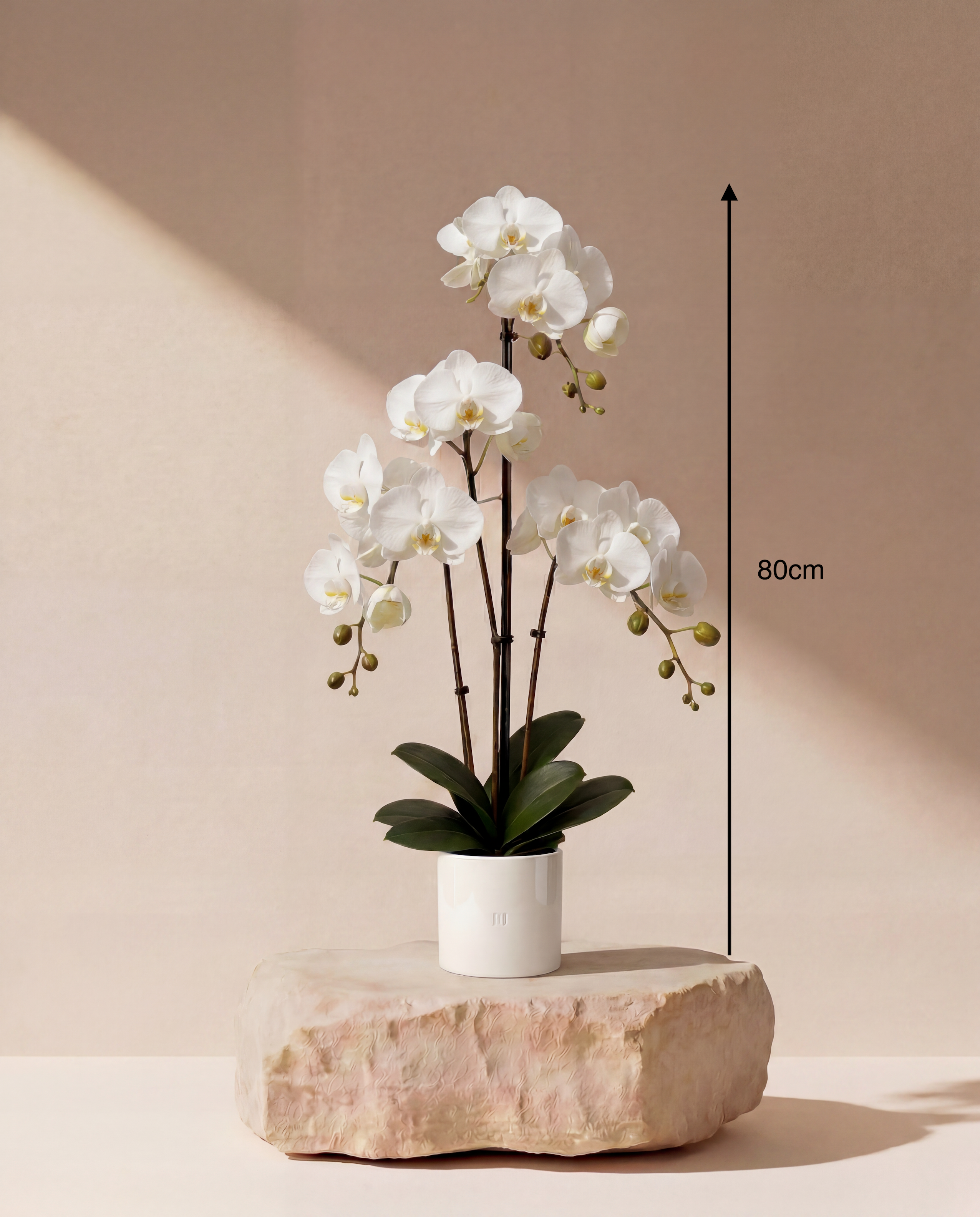 ORCHIDEE F•532W