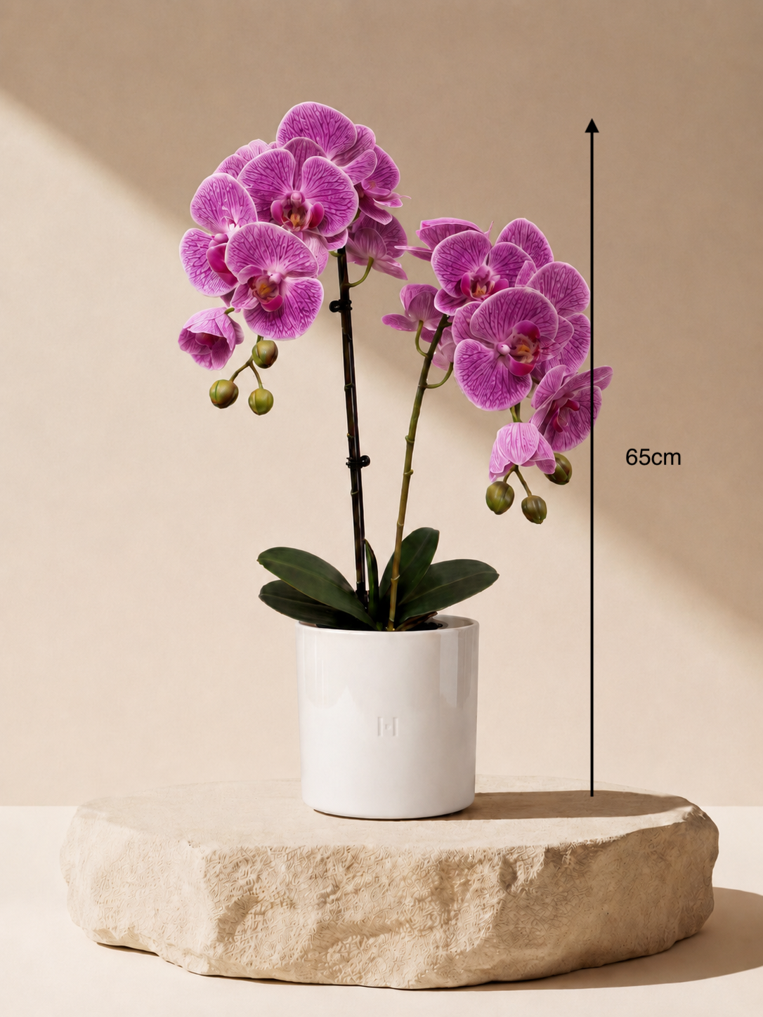 ORCHID F•532P