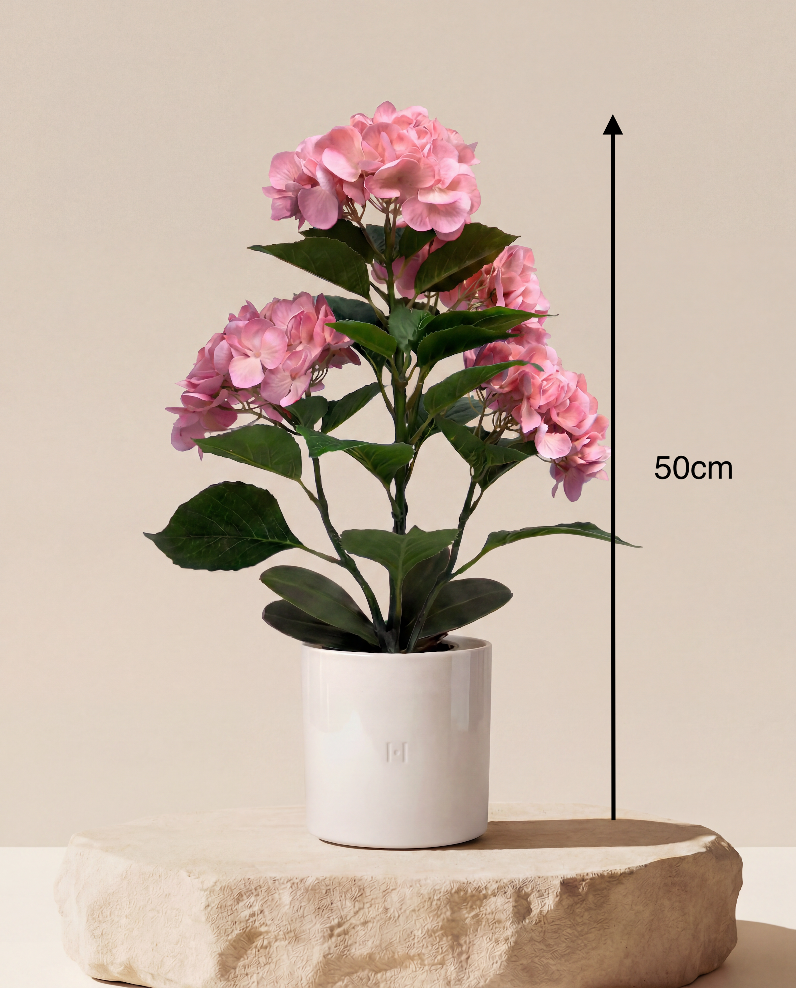 HORTENSIA F•854P