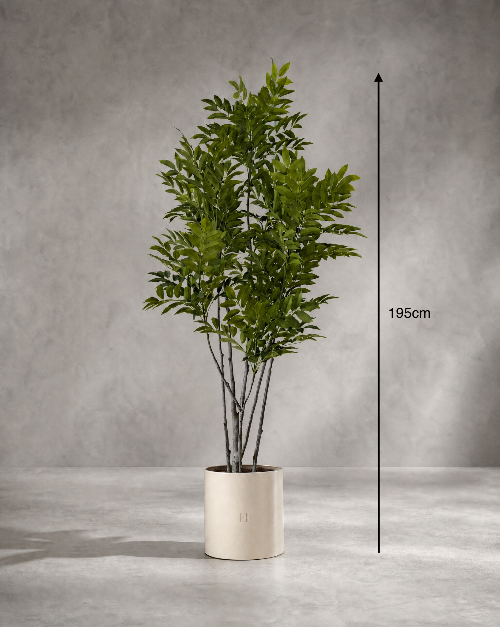 Dimensions et hauteur du Toxicodendron artificiel