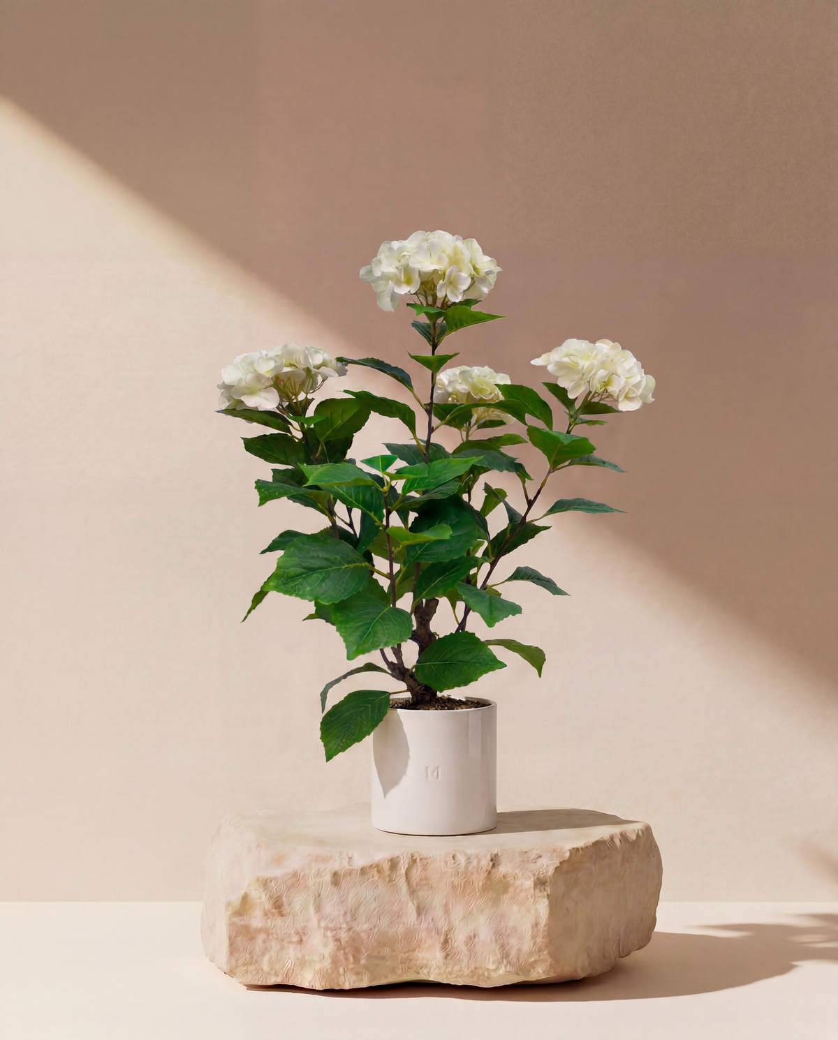 HORTENSIA F•854W · HOPER