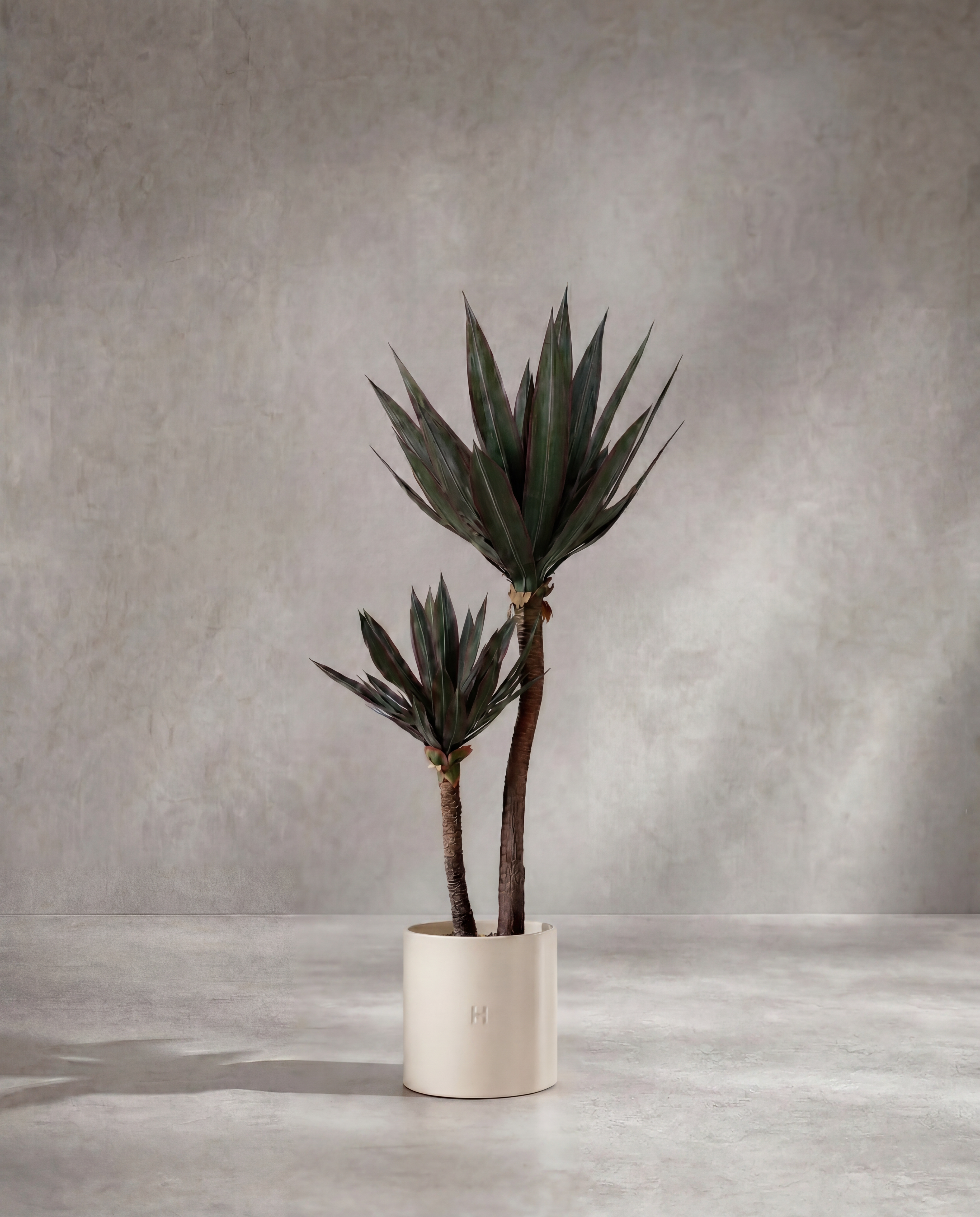 Agave artificiel Hoper – vue principale du produit