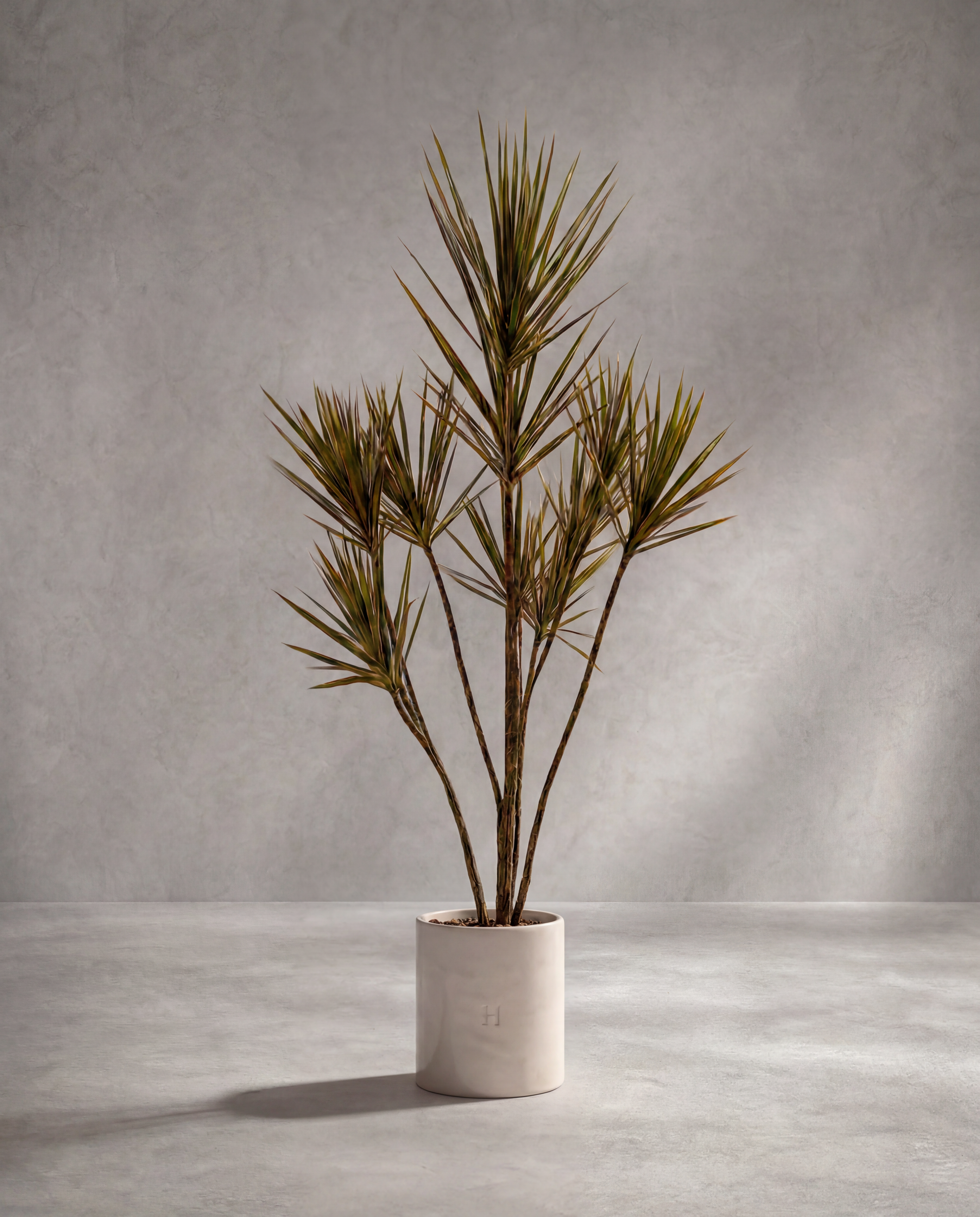 Dracaena artificiel Hoper – vue principale du produit