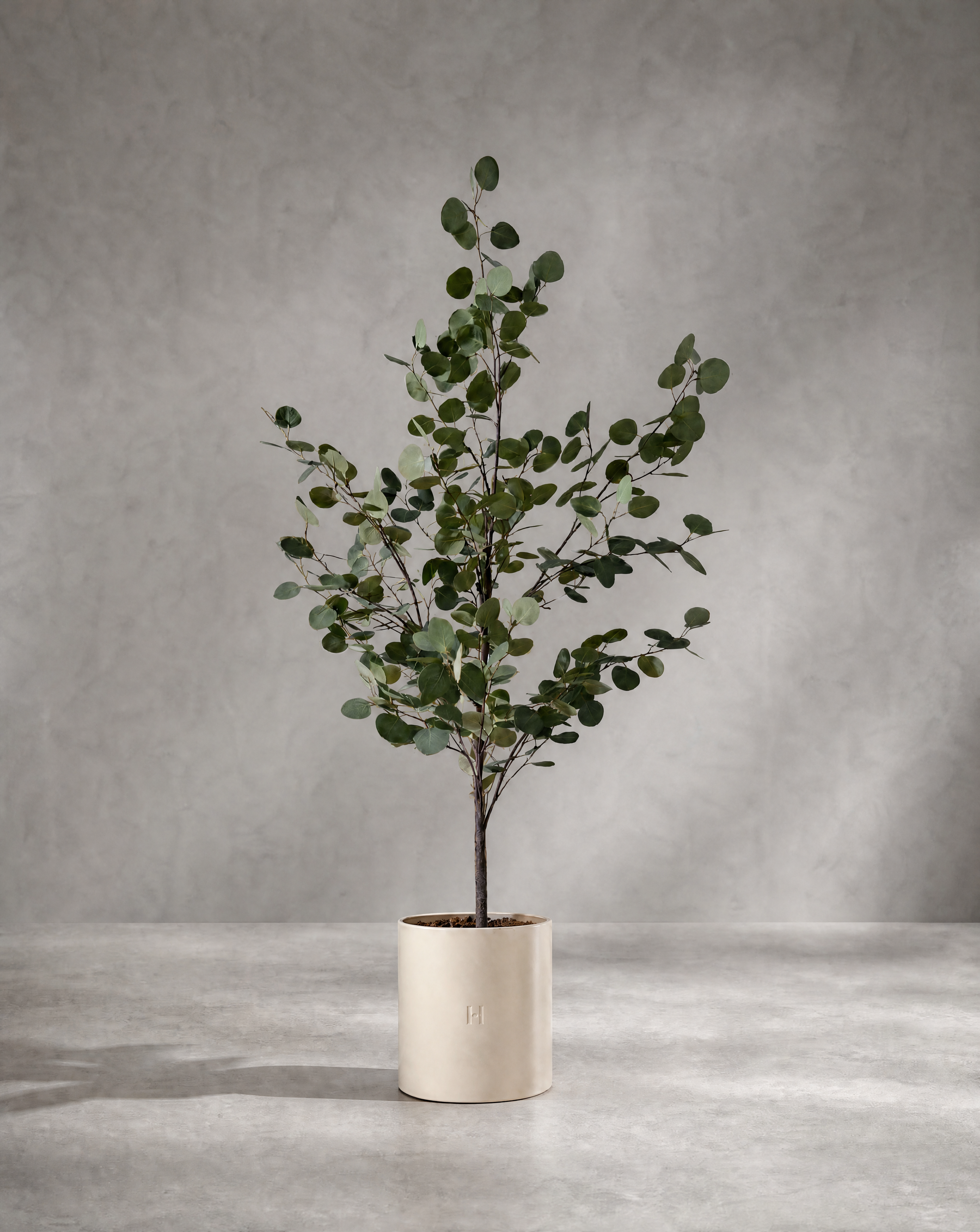 Eucalyptus artificiel Hoper – vue principale du produit