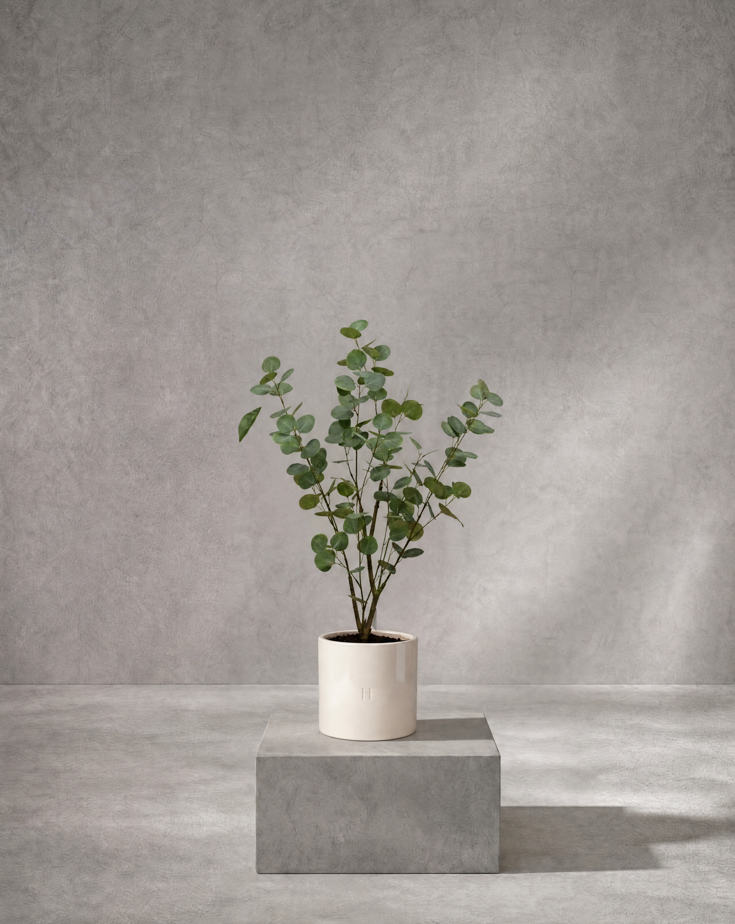 Eucalyptus artificiel Hoper – vue 6