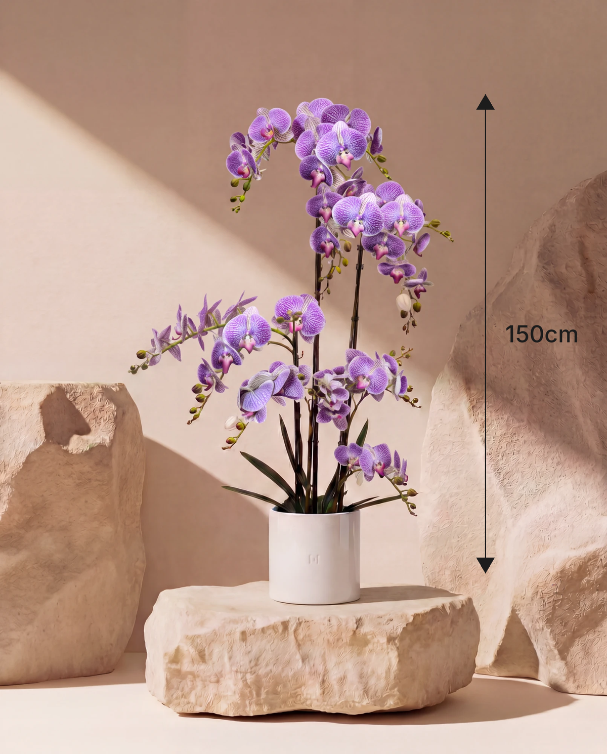 Künstliche violette Orchidee Real-Touch HOPER, Höhe 150 cm mit Übertopf #Taille_150 cm