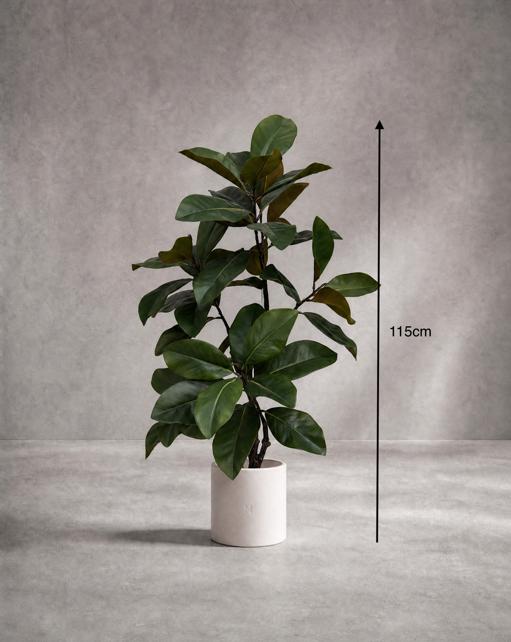 Dimensions et hauteur du Magnolia artificiel