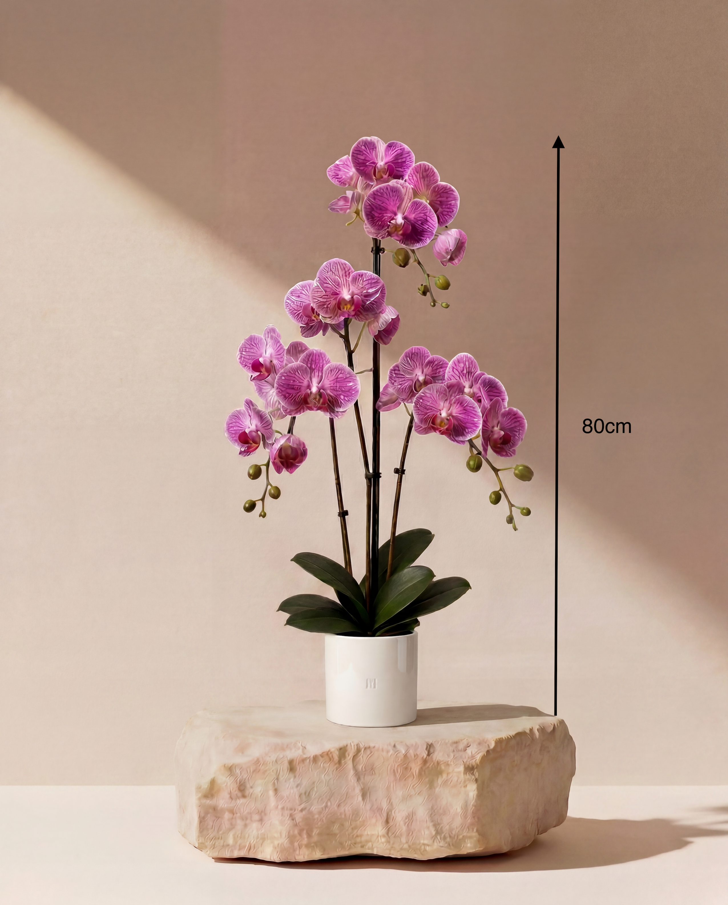 ORCHID F•532P