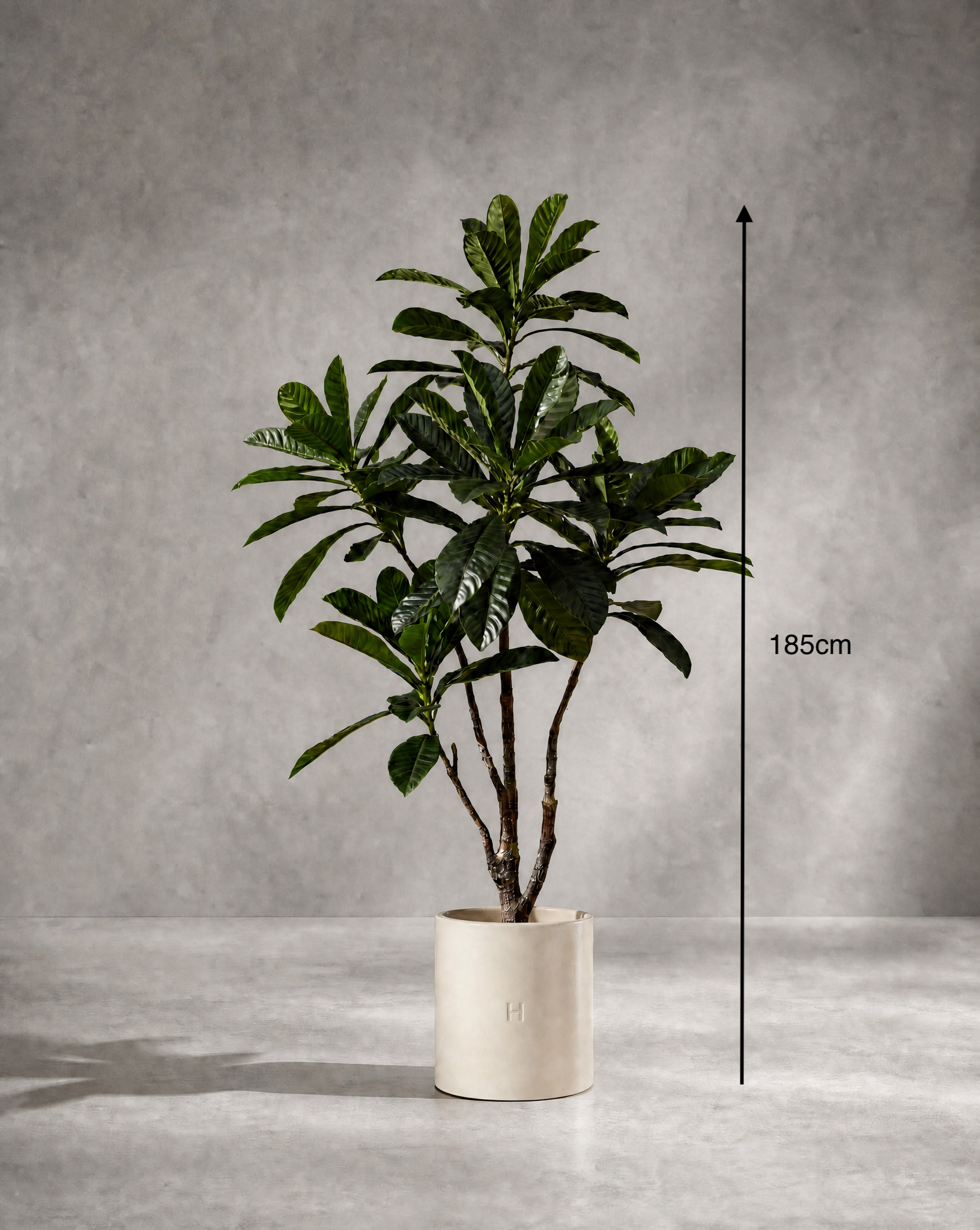 Dimensions et hauteur du Plumeria artificiel