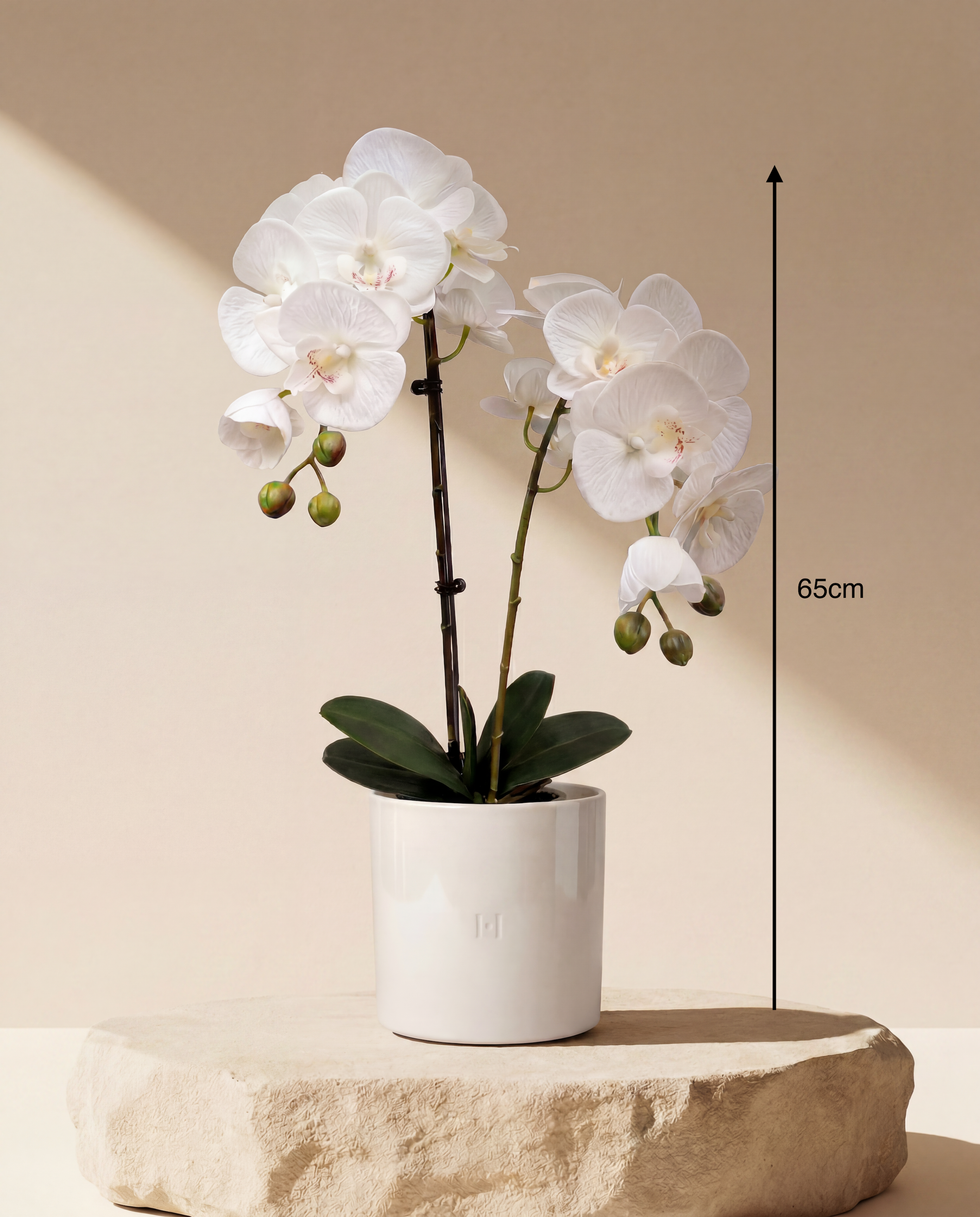 ORCHIDEE F•532W