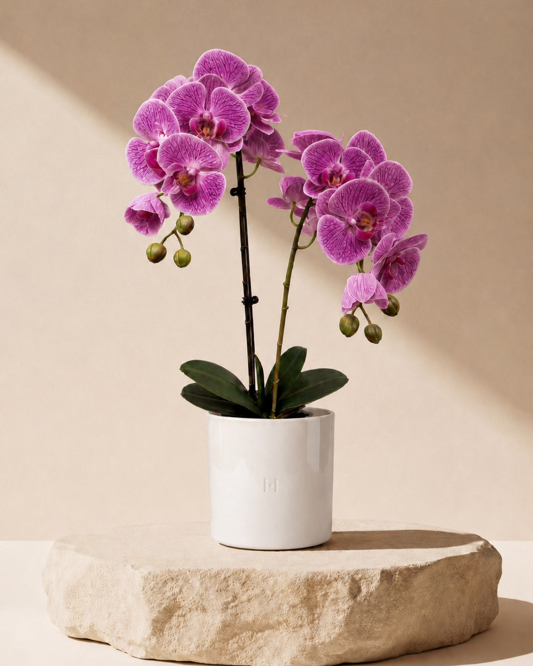 Orchidee artificiel HOPER, détail du pot design #Taille_65cm