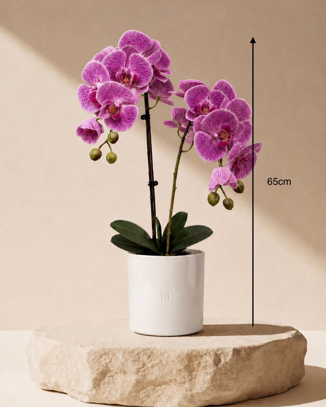 Orchidee artificiel real touch HOPER dans son pot design #Taille_65cm