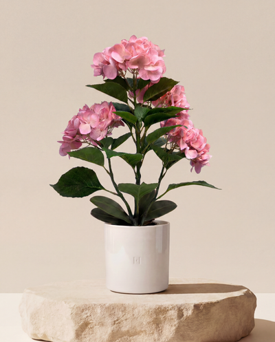 HORTENSIA F•854P 50cm