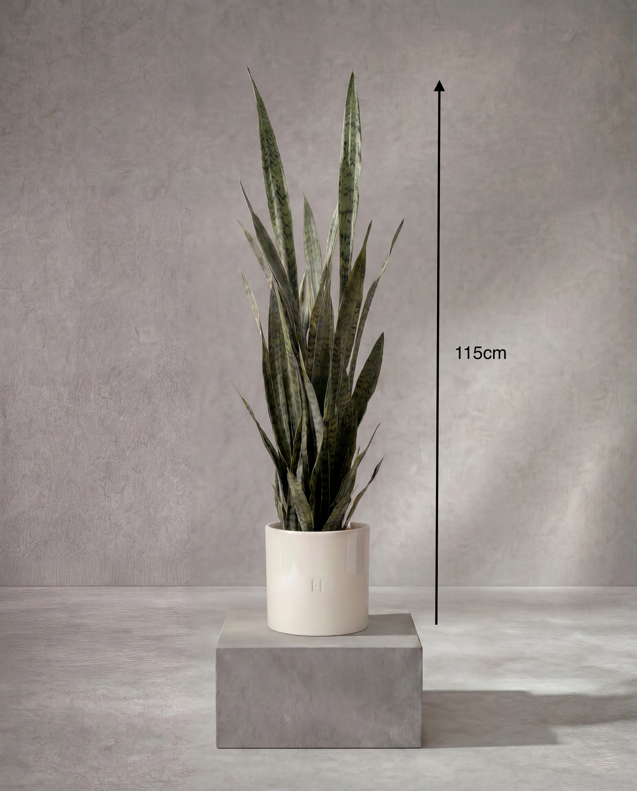 Dimensions et hauteur du Sansevieria artificiel