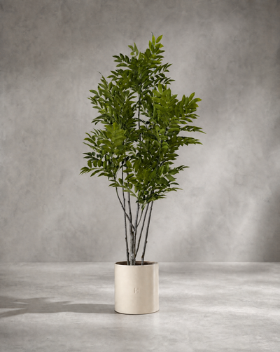 TOXICODENDRON P•858