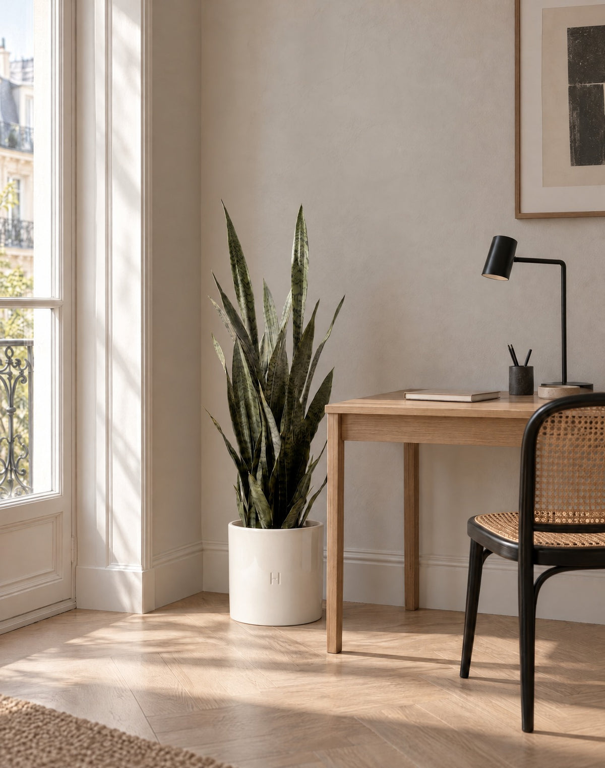 Sansevieria artificiel HOPER dans un bureau, lifestyle HOPER #Taille_115cm